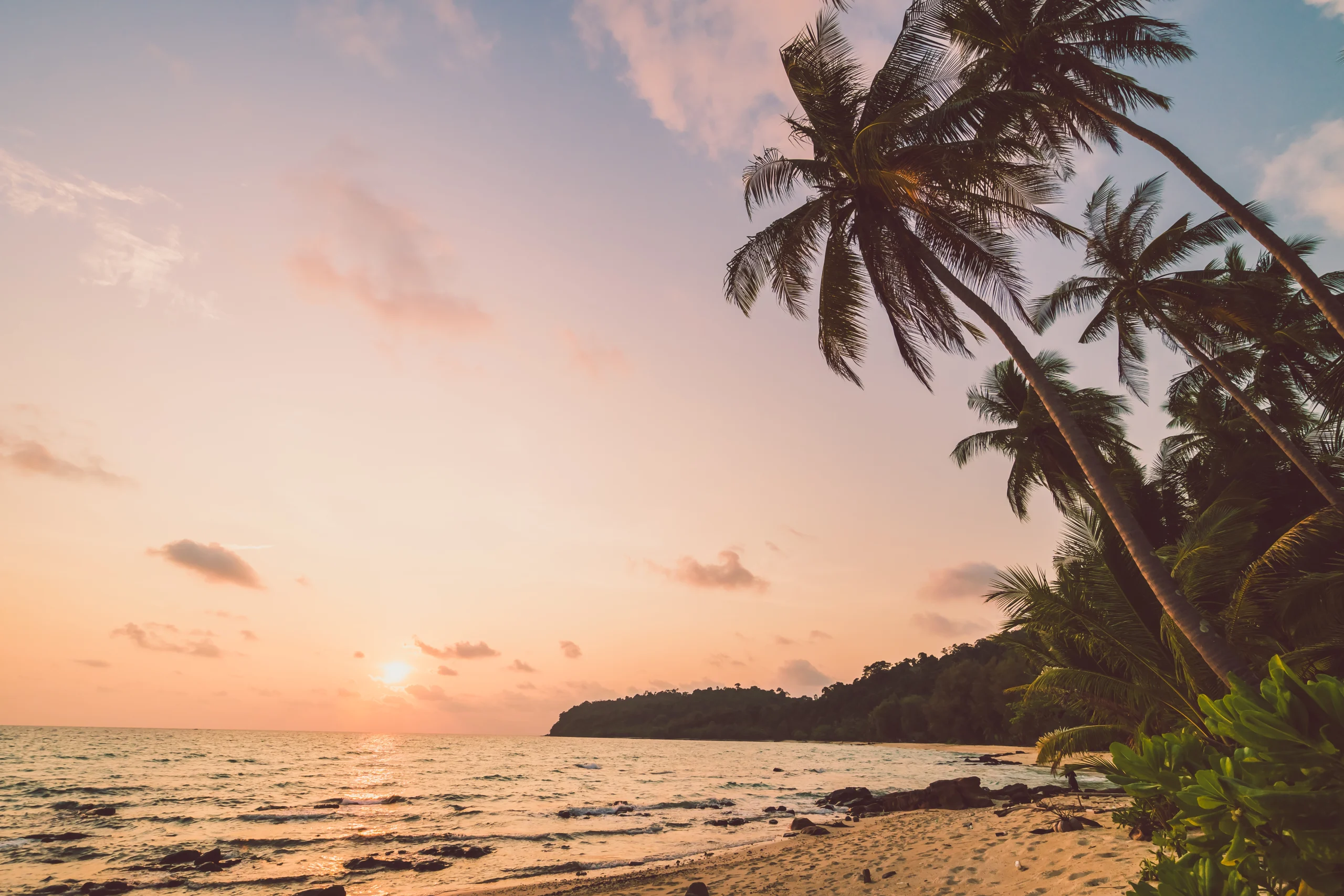 Meditation retreat in India