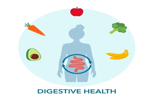 resilient digestion-shutter stock
