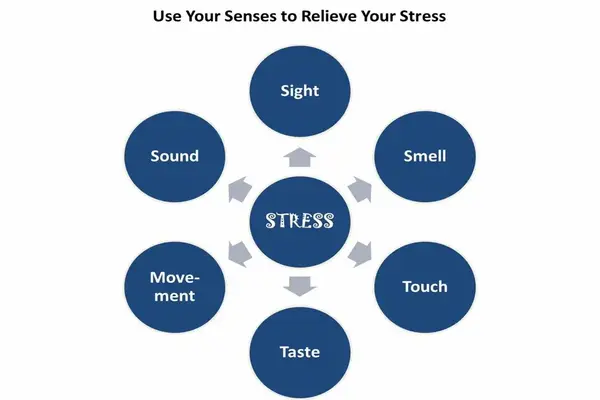 stress and strain