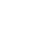About Us 3 values icon