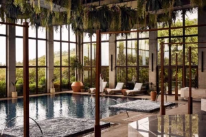 wellness retreat centres